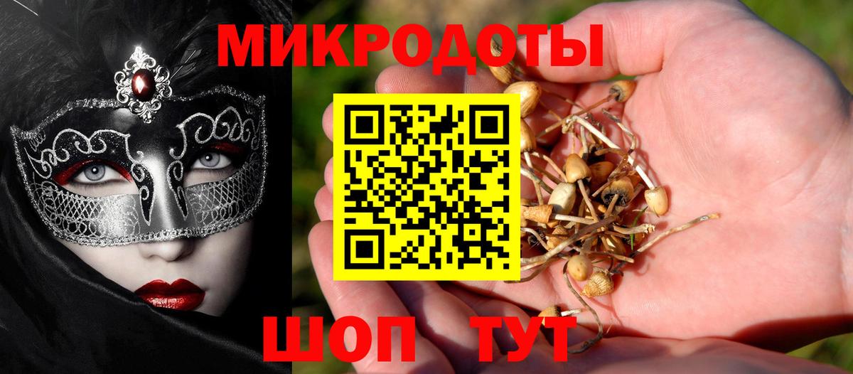 Псилоцибиновые грибы Psilocybe  Вход с VPN  Белгород  Галлюциногенные грибы GOLDEN TEACHER 